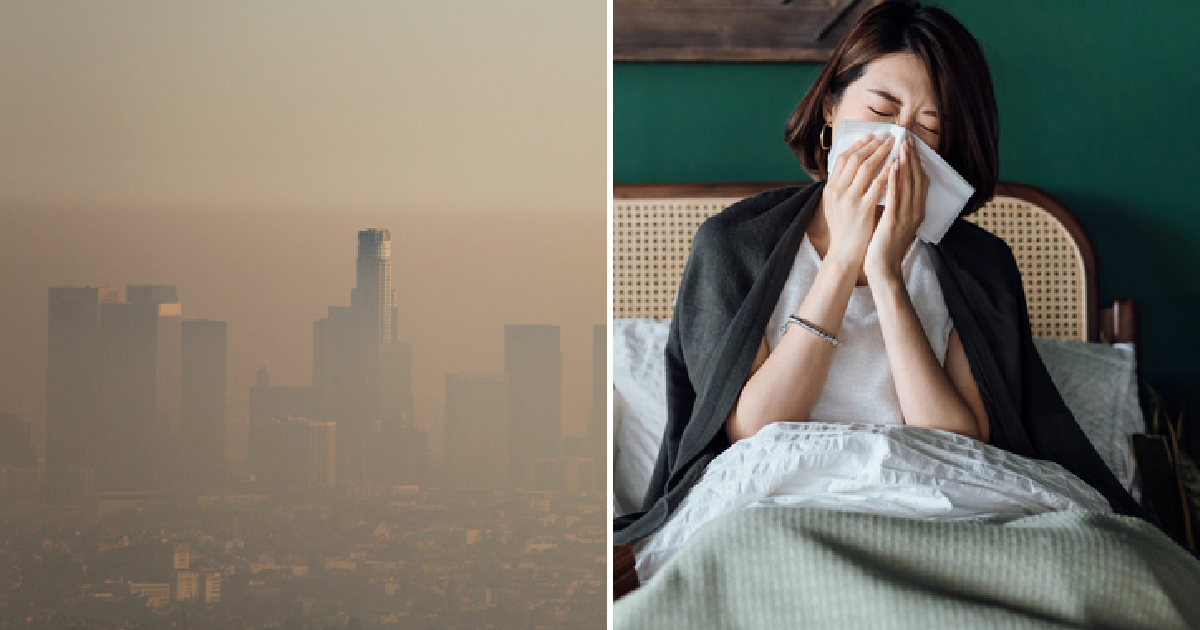 Apparently, Up To 99 Of The World Is Breathing Harmful Air » TwistedSifter