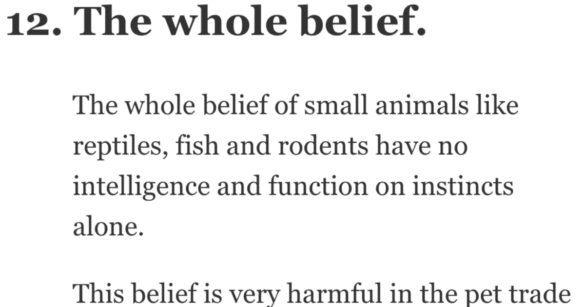 People Share The Lies That Society Needs To Stop Believing