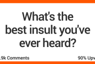 People Share The Most Hilarious Insults You Will Ever Hear