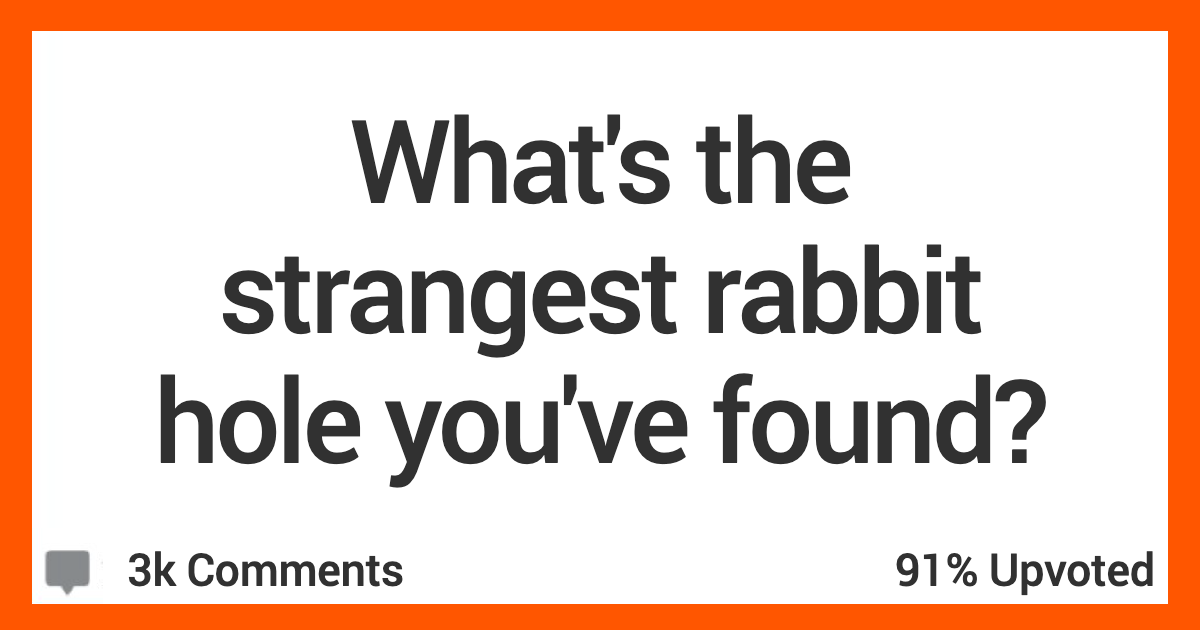 People Share Their Absolute Favorite Rabbit Holes » TwistedSifter