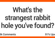 People Share Their Absolute Favorite Internet Rabbit Holes