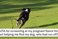 Is This Guy’s Pregnant Fiancee Really Awful For Not Helping Chase The Dog?