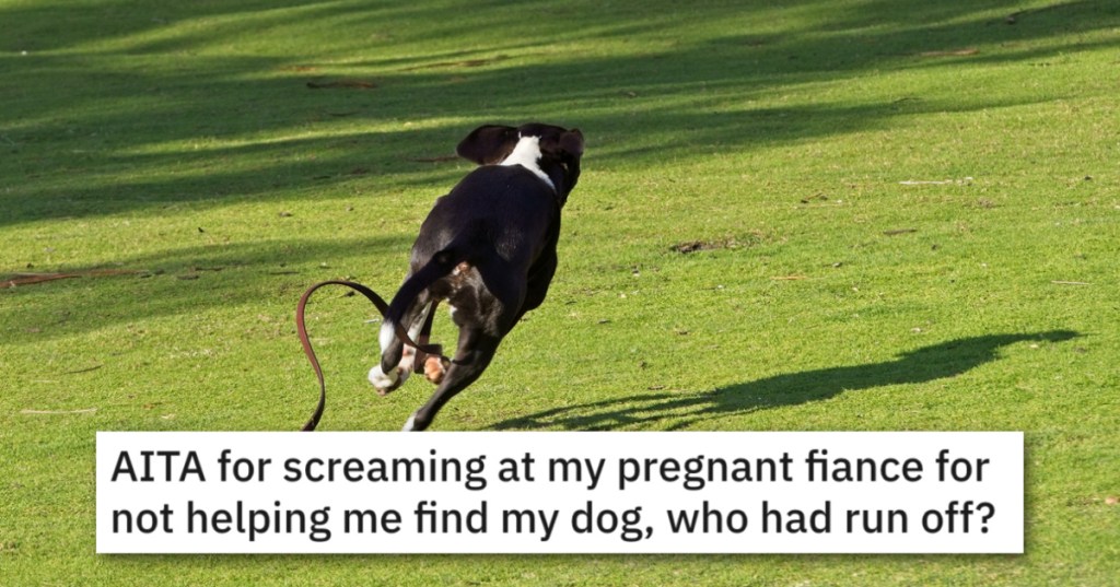 Is This Guy's Pregnant Fiancee Really Awful For Not Helping Chase The Dog?