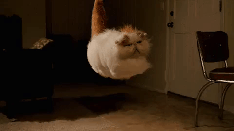 hovercat is coming for your soul