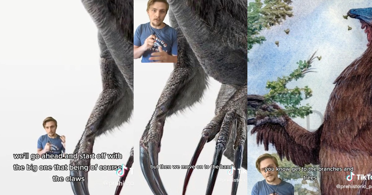 Therizinosauraus Might Look Brutal, But Scientists Say It Was Mostly For Show