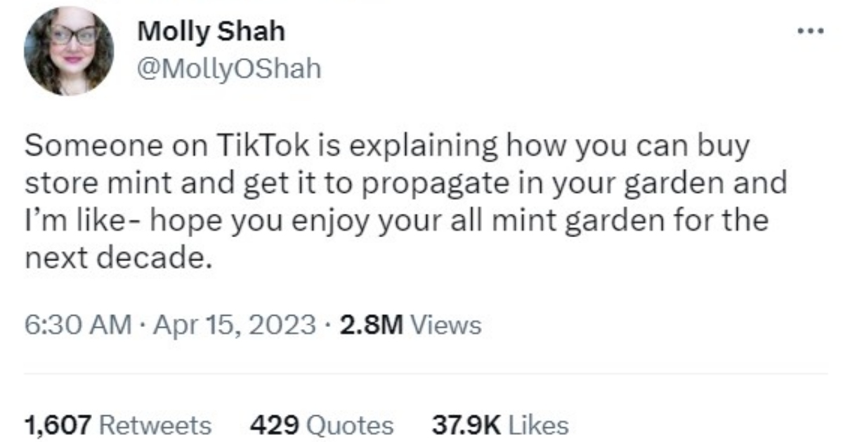 The Shirk Report - Volume 737