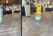 Whoops! A Robot Server Dropping Drinks on the Floor Is The Funniest Thing You’ll See Today.