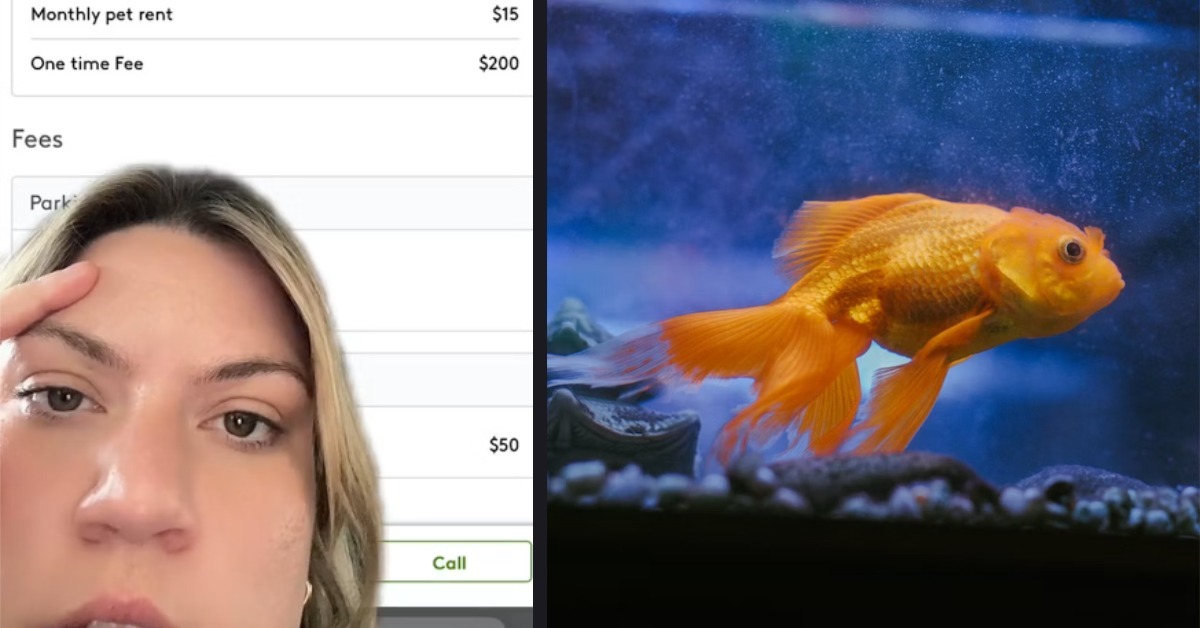 A Woman Renting an Apartment Said She Is Being Charged Each Month for Having Pet Fish