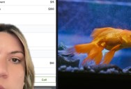 A Woman Renting an Apartment Said She Is Being Charged Each Month for Having Pet Fish