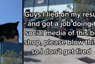 An Old Cat Meme Helped a Florida Auto Body Shop Go Viral in a Big Way on TikTok