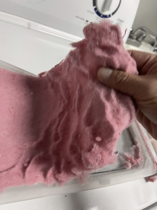 iStock 1343873022 A Few Surprising Ways To Re Use Your Dryer Lint