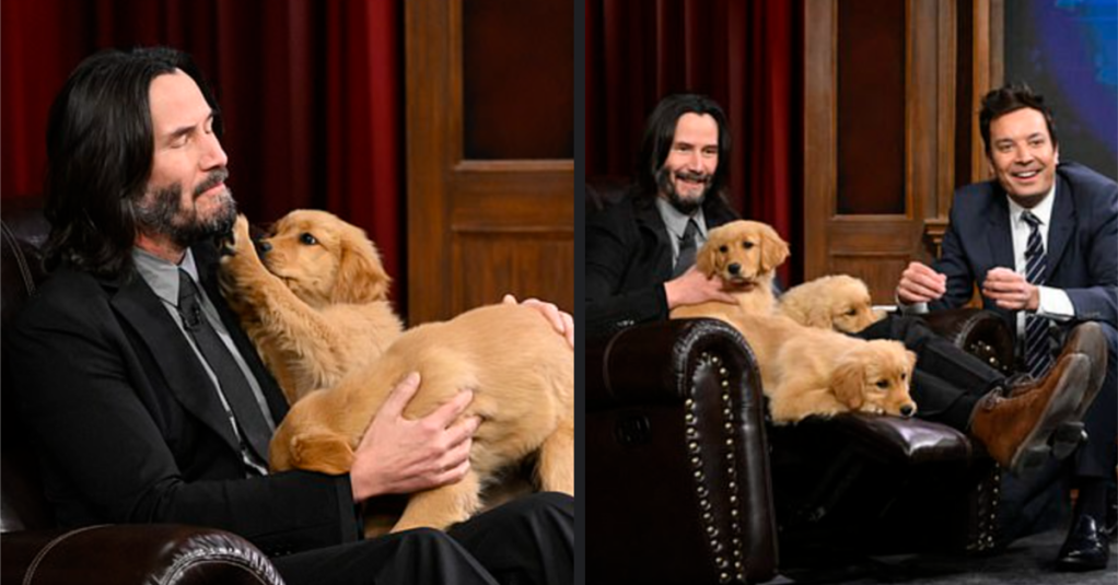 Keanu Reeves Played With Puppies During a ‘Pup Quiz’ on “The Tonight Show”