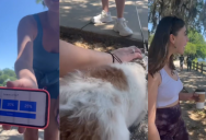 A Woman Mocked Tipping Culture by Asking for a Tip When a Stranger Pet Her Dog