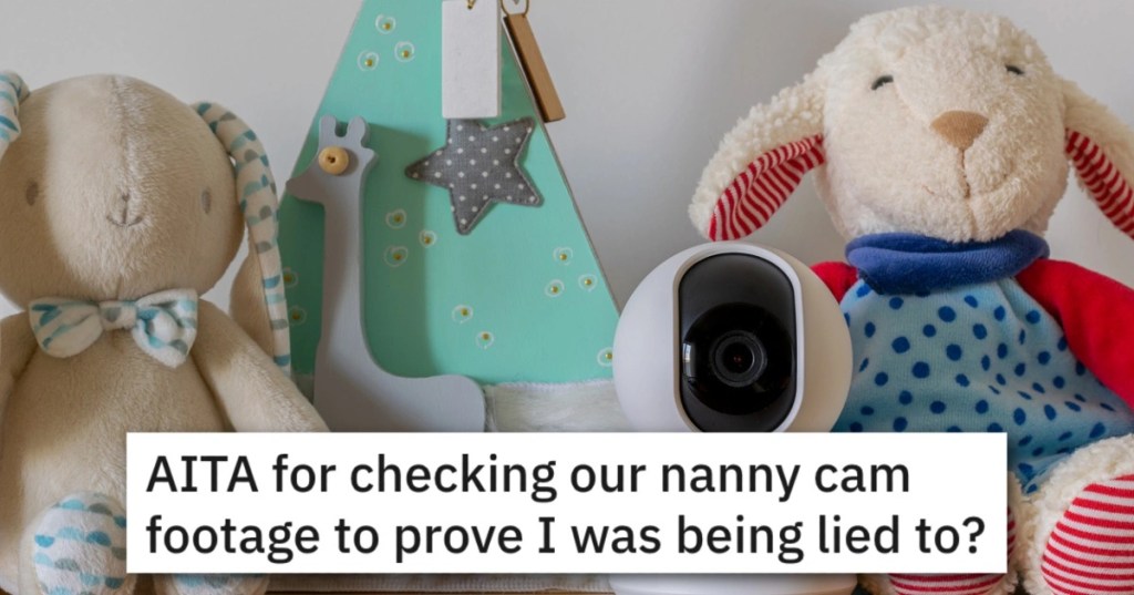 Checking Nanny Cam Footage Lied Was She Wrong To Use The Nanny Cam To Catch Her Partner In A Lie? The Internet Weighed In.
