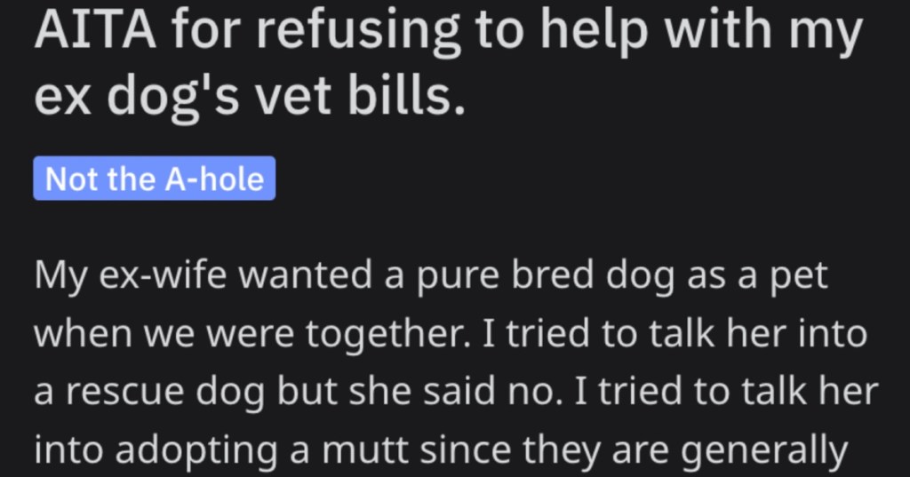 Refusing To Help Vet Bills copy His Ex Got The Dog In The Divorce. Now She Wants Him To Pay For Its Vet Bills. What Would You Do?