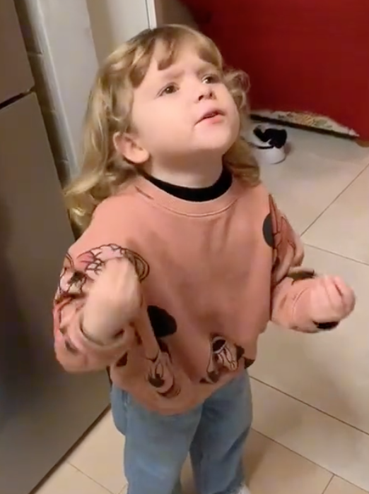 Screen Shot 2023 05 09 at 3.51.41 PM A Little Girl’s Classically Italian Rant Went Viral in a Big Way