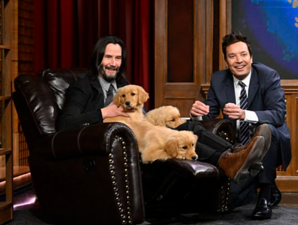 Screen Shot 2023 05 11 at 9.10.41 AM Keanu Reeves Played With Puppies During a ‘Pup Quiz’ on “The Tonight Show”