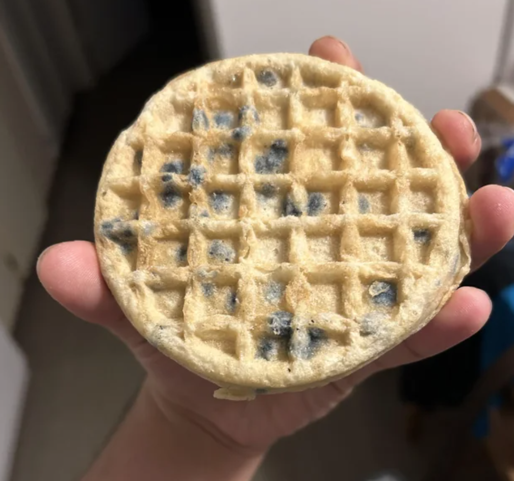 Screen Shot 2023 05 27 at 9.07.26 AM A Man’s Blueberry Waffle Meal Went Viral for Being Hilariously Gross