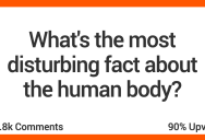 People Share Facts About The Human Body That Are Truly Disturbing