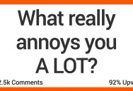 What Really Annoys You a Lot? People Shared Their Thoughts.