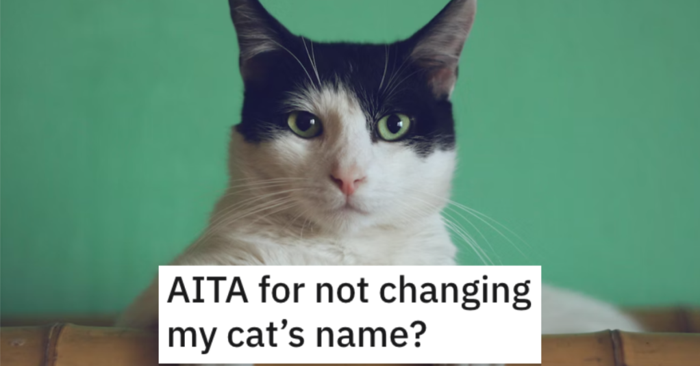 Are They Wrong for Not Changing Their Cat’s Name? Here’s What People Said.