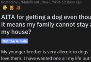 This Person Got a Dog Even Though It Means Their Family Can No Longer Stay at Their House. Are They Wrong?