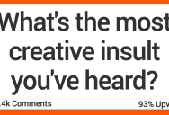 What’s the Most Creative Insult You’ve Ever Heard? Here’s What People Said.
