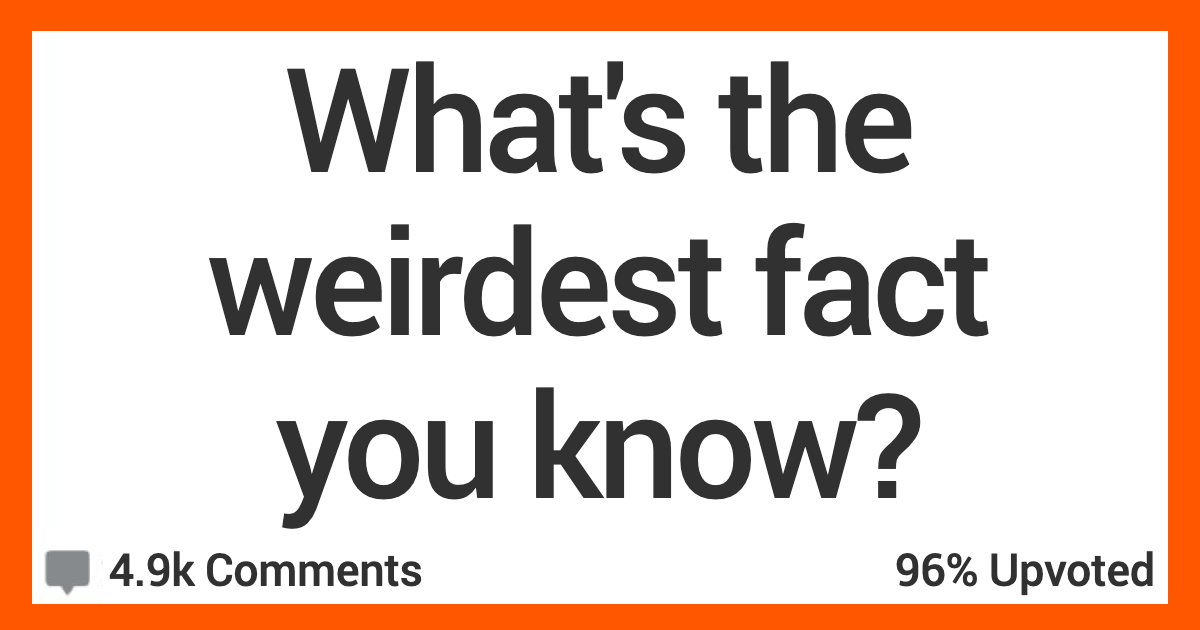 People Share the Weirdest Facts They Know