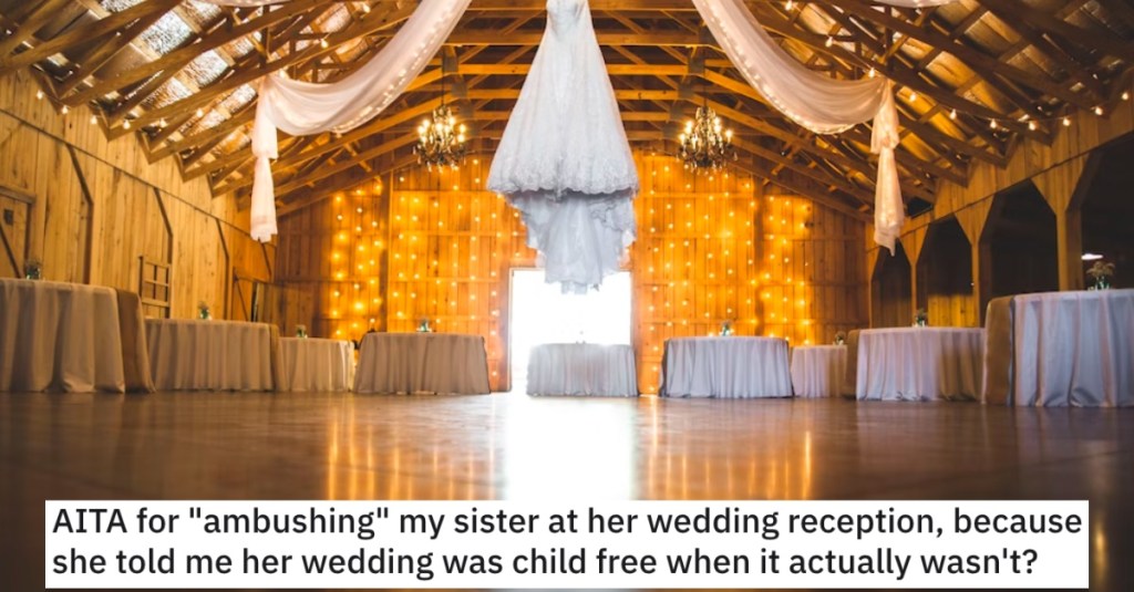 Ambush Sister Wedding Child Free Is He Wrong for Ambushing His Sister at Her Wedding Reception? People Shared Their Thoughts.