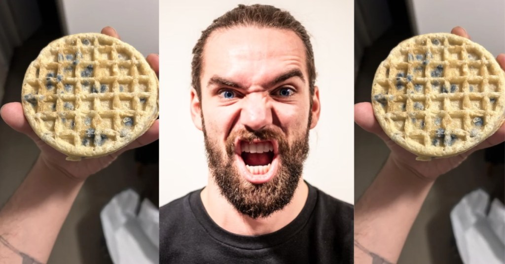 BlueBerry Waffles Gone Bad Mold A Man’s Blueberry Waffle Meal Went Viral for Being Hilariously Gross