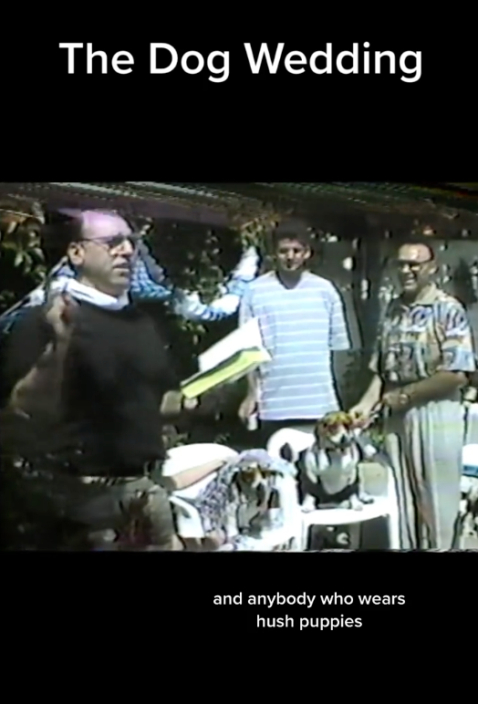 Screen Shot 2023 06 13 at 9.09.39 AM A VHS Collector Found an Old Home Video of a Dog Wedding and It’s Weird and Hilarious