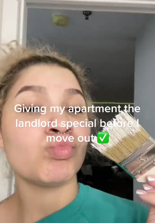 Screen Shot 2023 06 20 at 12.31.24 PM A Tenant Gave Her Apartment the “Landlord Special” Before She Moved Out And Its Hilarious