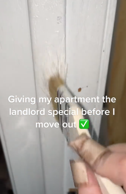 Screen Shot 2023 06 20 at 12.31.53 PM A Tenant Gave Her Apartment the “Landlord Special” Before She Moved Out And Its Hilarious