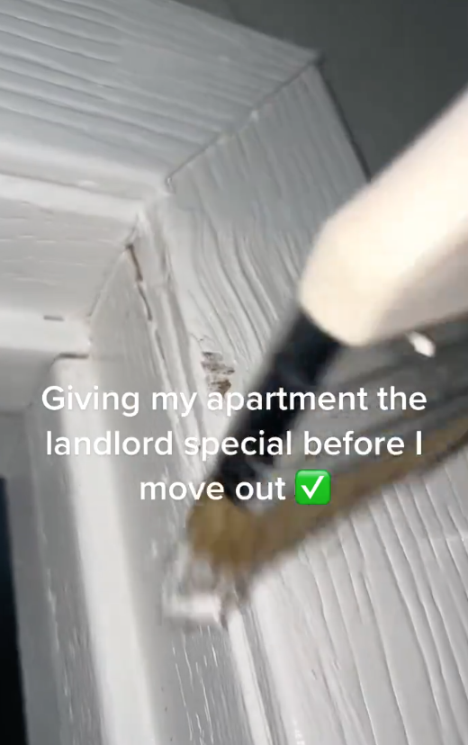 Screen Shot 2023 06 20 at 12.32.08 PM A Tenant Gave Her Apartment the “Landlord Special” Before She Moved Out And Its Hilarious