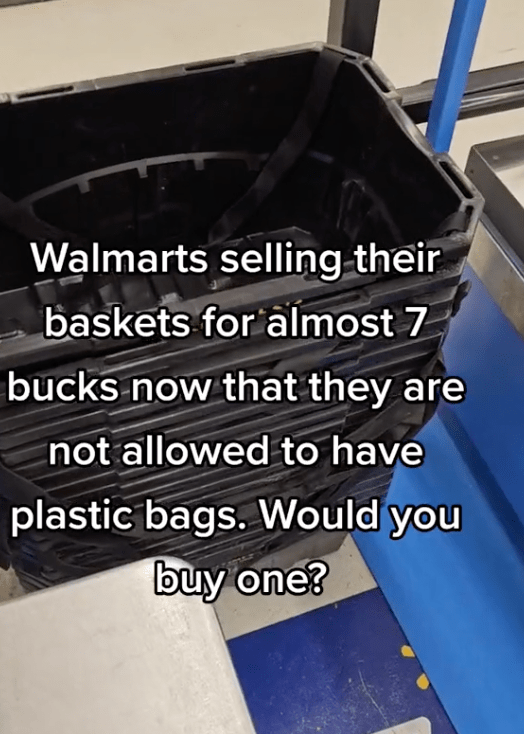Screen Shot 2023 06 29 at 8.15.50 AM Walmart now Sells Baskets for $7 After Removing Plastic Bags. Would You Buy One?