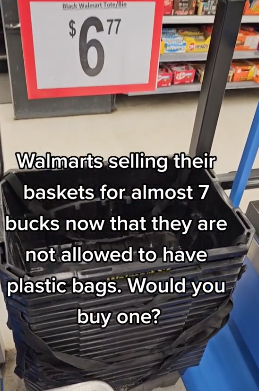 Screen Shot 2023 06 29 at 8.15.58 AM Walmart now Sells Baskets for $7 After Removing Plastic Bags. Would You Buy One?