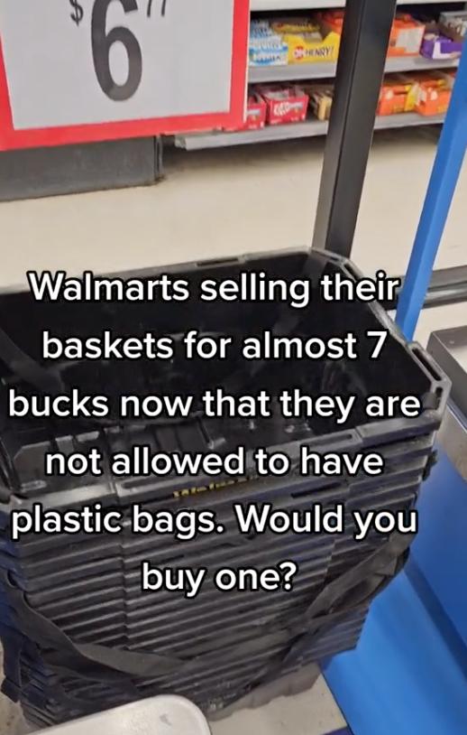Screen Shot 2023 06 29 at 8.16.12 AM Walmart now Sells Baskets for $7 After Removing Plastic Bags. Would You Buy One?