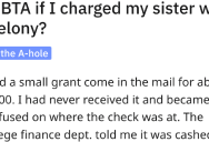 Person Wonders If Having Her Sister Charged With A Felony Would Be A Step Too Far