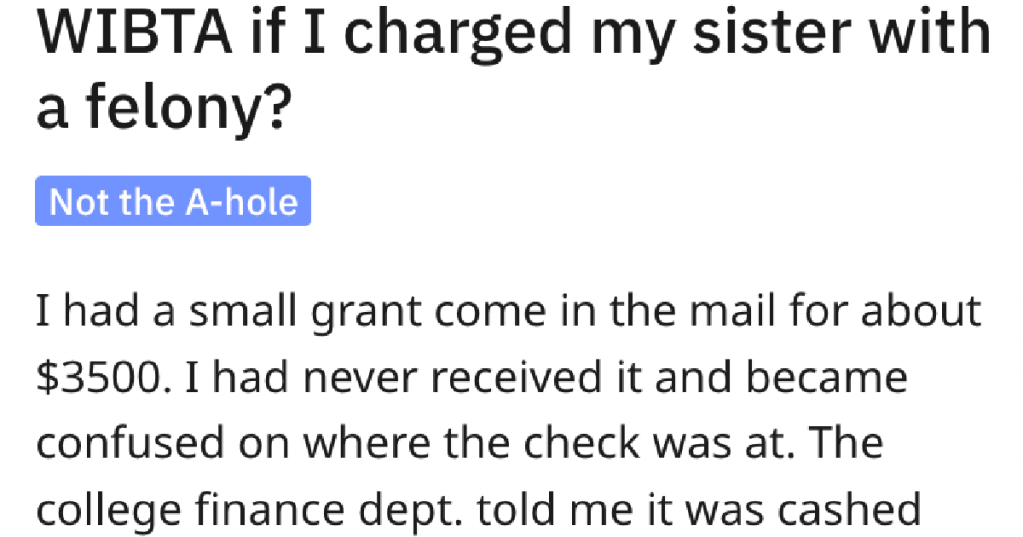 Person Wonders If Having Her Sister Charged With A Felony Would Be A Step Too Far