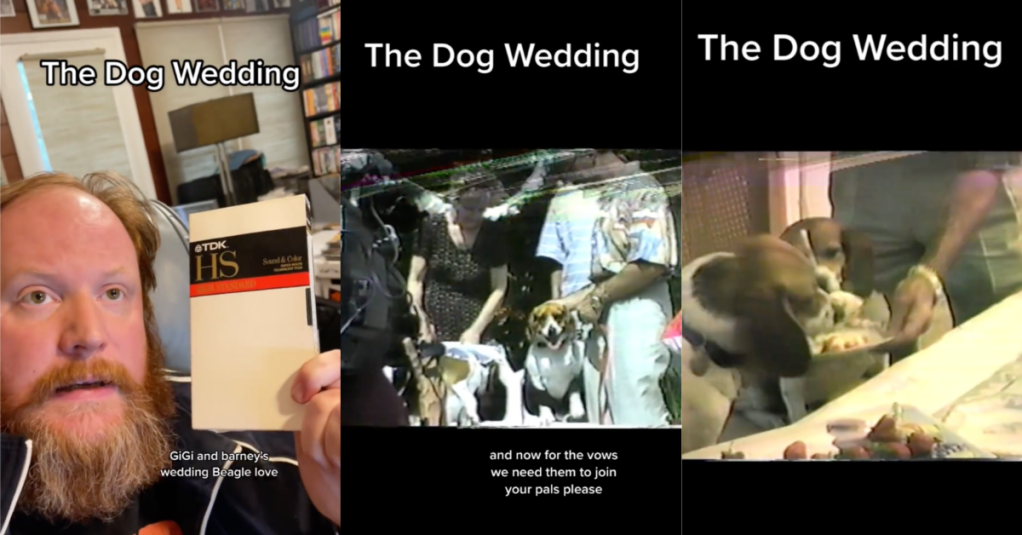 TIkTokDogWedding A VHS Collector Found an Old Home Video of a Dog Wedding and It’s Weird and Hilarious