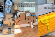 A Woman Received 41 Amazon Packages… That She Didn’t Order