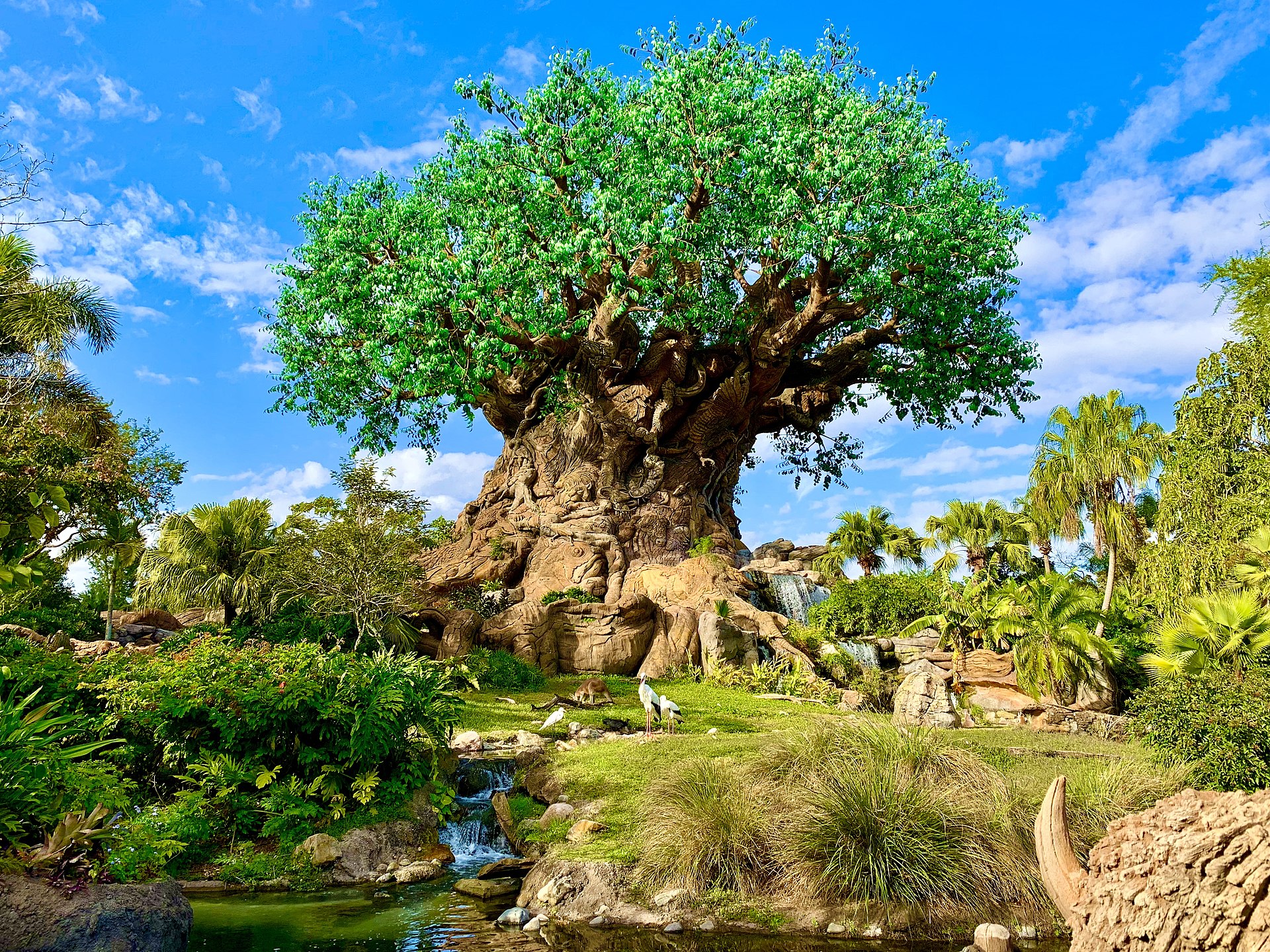 Tree of Life Disneys Animal Kingdom Why You Wont Get A Mosquito Bite At Disney World