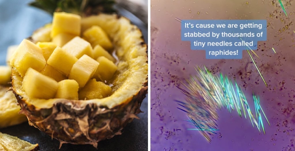pineappletingles copy Why Some People Report A Tingle In Their Mouths When Eating Pineapple