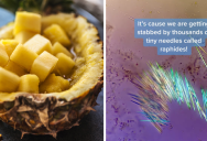 Why Some People Report A “Tingle” In Their Mouths When Eating Pineapple