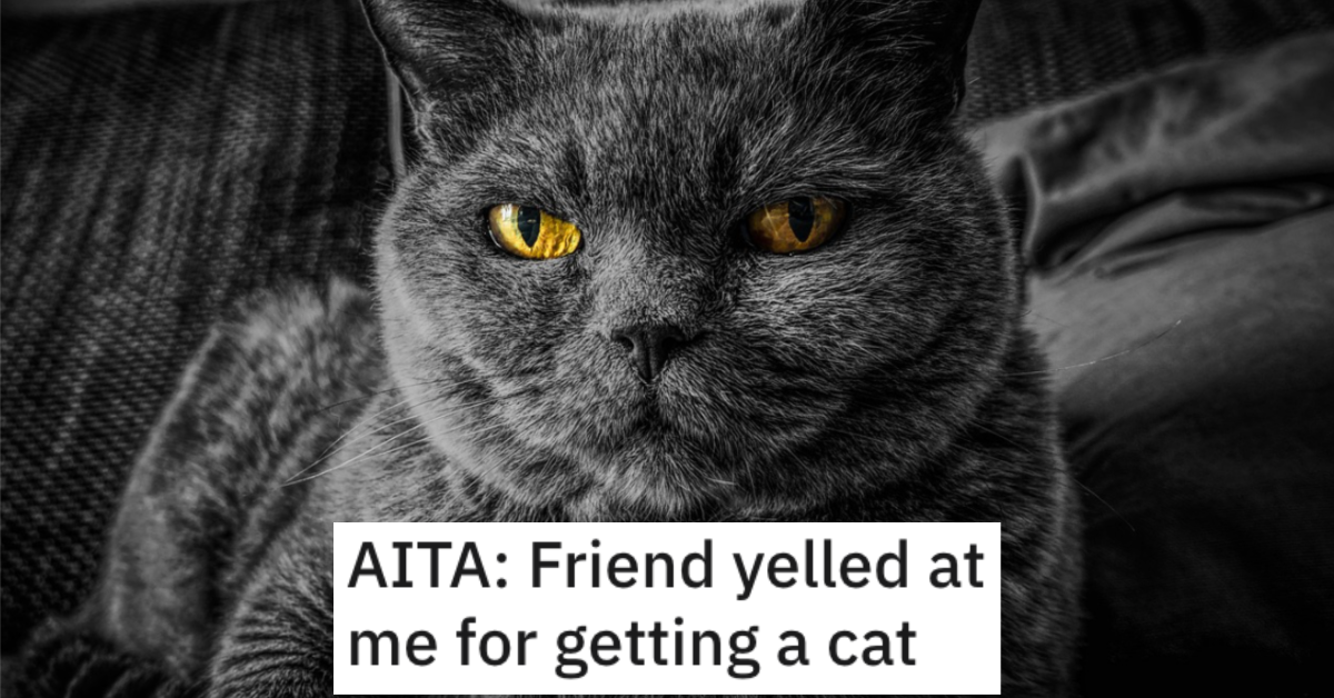 AITACatFriend Is She a Jerk for Getting a Cat? Here’s What People Said.