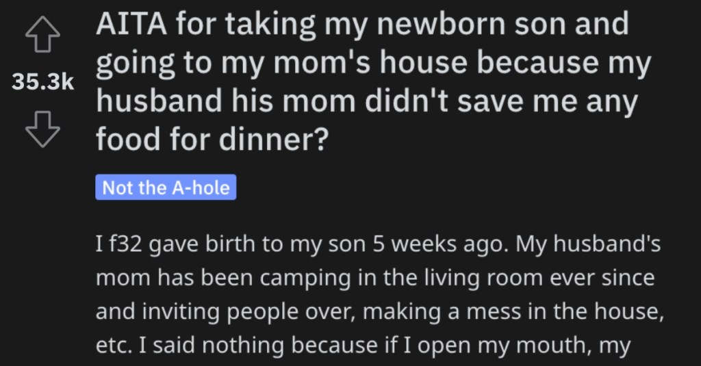 She Took Her Baby to Her Mom’s House Because No One Saved Her Any Food. Did She Go Too Far?