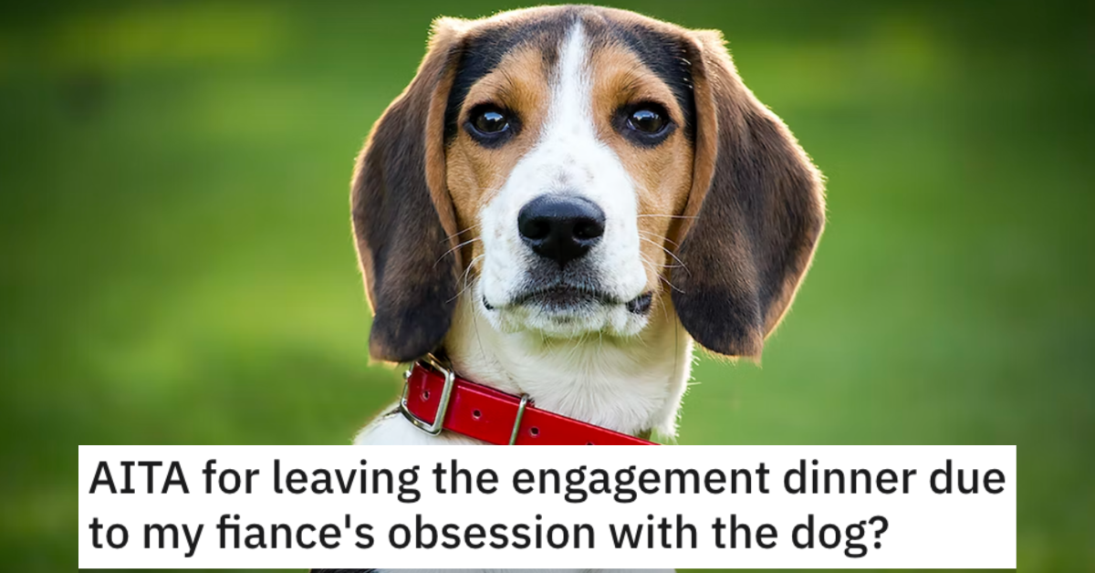 AITAPartyDog He Left an Engagement Party Because of a Dog. Did He Go Too Far?