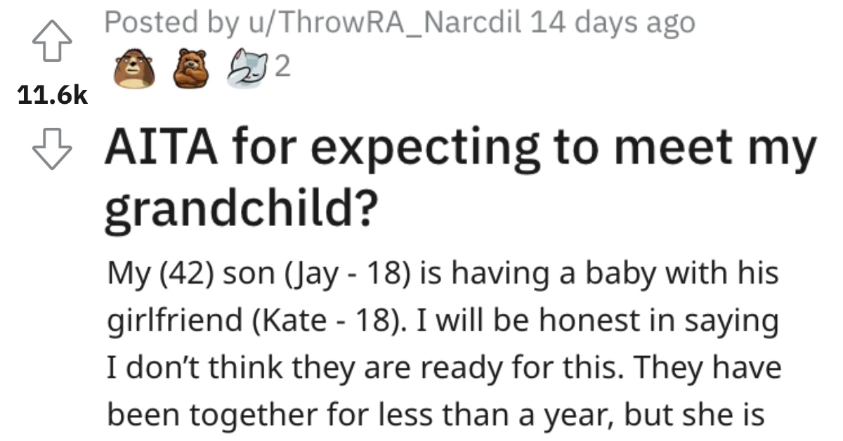 AITASeeGrandchild Is This Person Wrong for Expecting to Meet Their Grandchild?