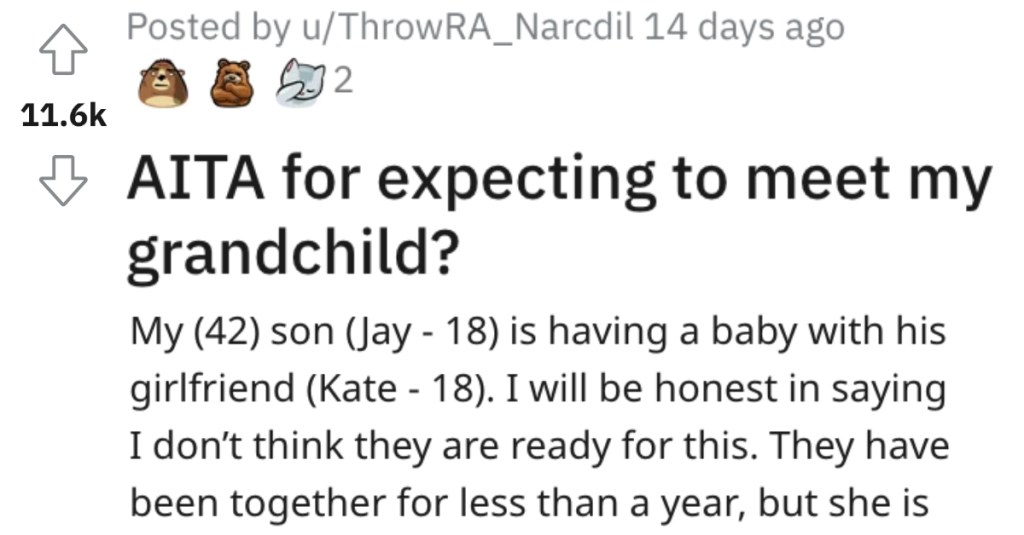 Is This Person Wrong for Expecting to Meet Their Grandchild?