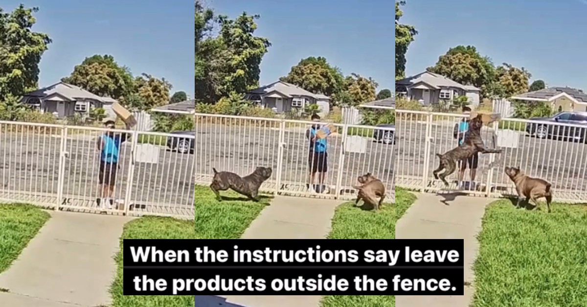 Amazon Instructions Outside When the instructions say leave the products outside of the fence. An Amazon Delivery Driver Ignored A Sign And Dogs Snatched The Package